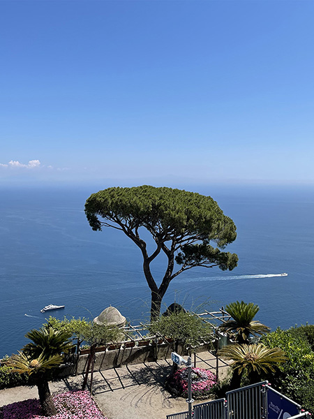 De meest gefotografeerde pijnboom van de Amalfikust