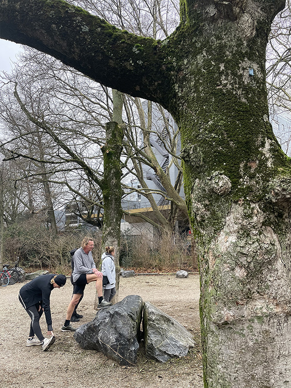 Vondelbrug