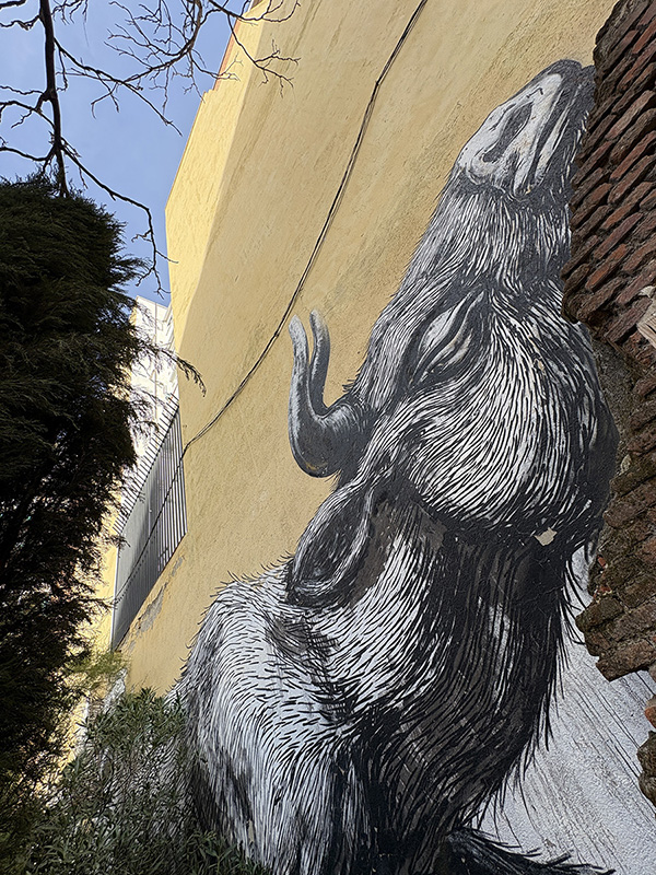 ROA