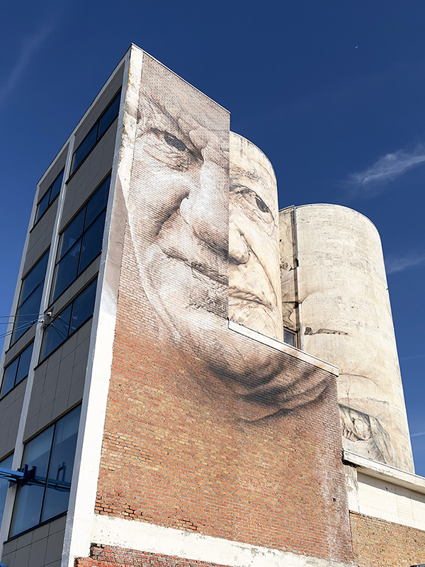 streetart Guido van Helten